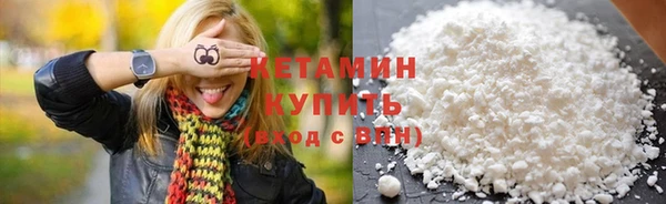 прущие грибы Ельня